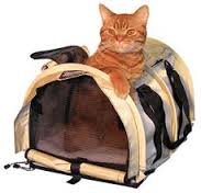 Moving your pets to NYC