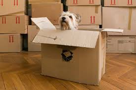 NYC Movers